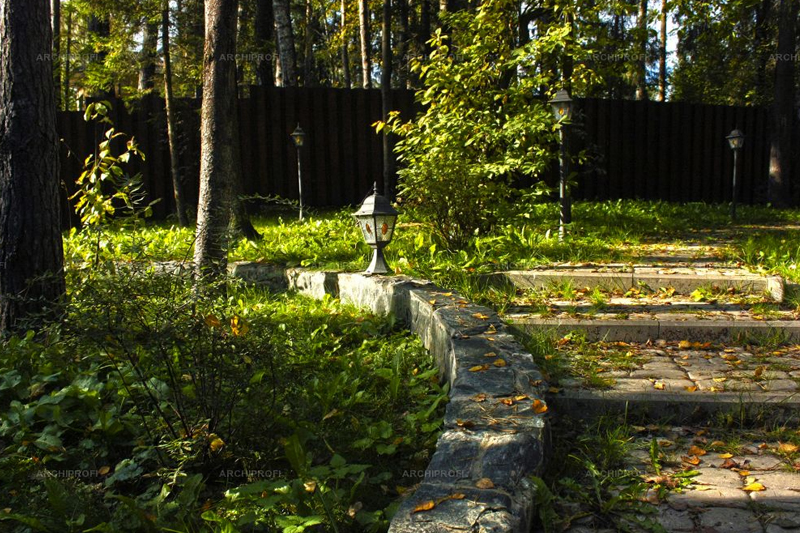 Лесной стиль в ландшафтном дизайне